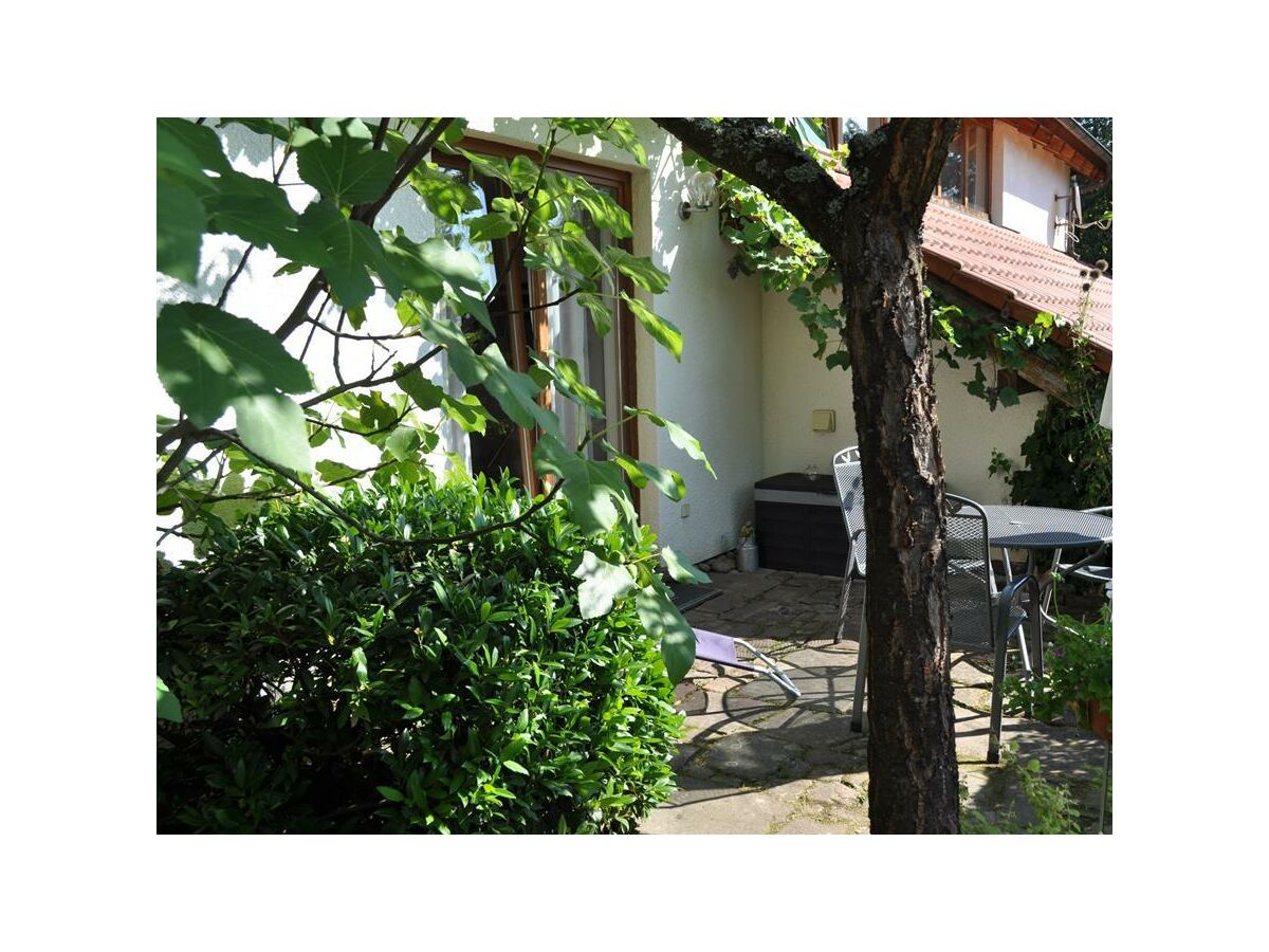 Apartment 2-Bettwohnung 40m² - Outdoor photo 2