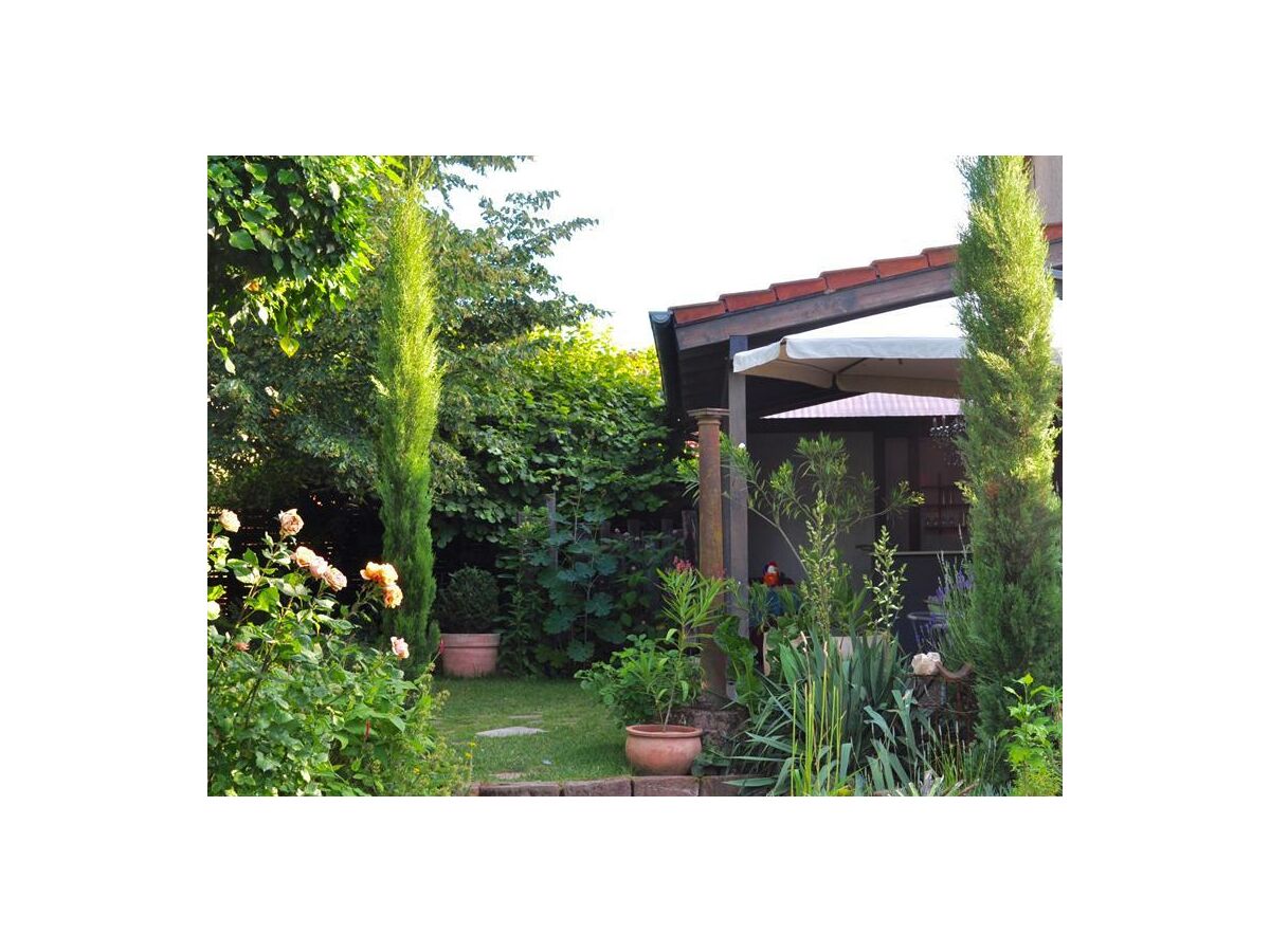 Apartment 2-Bettwohnung 40m² - Outdoor photo 4