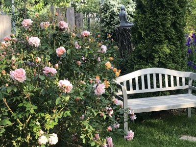 Apartment 2-Bettwohnung 40m² - Outdoor photo 11