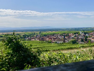 Apartment Ferienhaus Schäffer - Outdoor photo 8