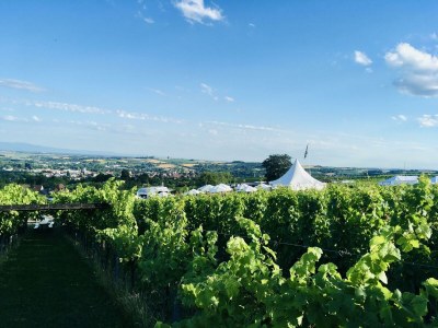 Apartment Appartement/Fewo, Dusche, WC, 1 Schlafraum - Outdoor photo 3