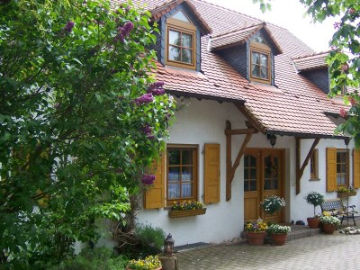 Apartment Appartement/Fewo, Dusche, WC, 1 Schlafraum in Alzey-Dautenheim - Apartment