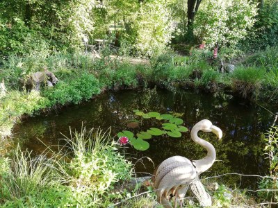 Apartment Appartement/Fewo, Dusche, WC, 1 Schlafraum - Outdoor photo 5