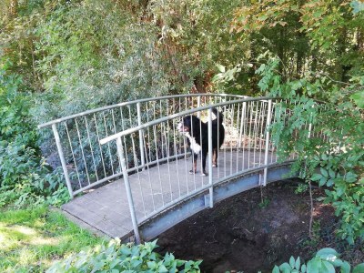 Apartment Appartement/Fewo, Dusche, WC, 1 Schlafraum - Outdoor photo 8