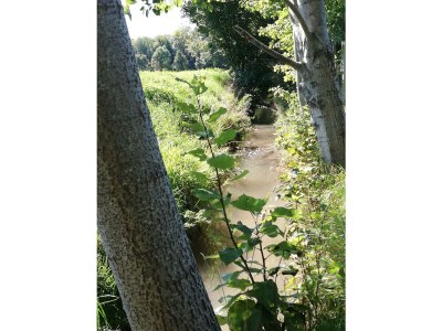 Apartment Appartement/Fewo, Dusche, WC, 1 Schlafraum - Outdoor photo 9