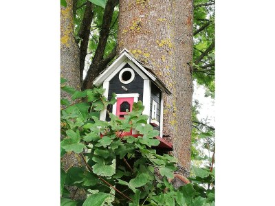 Apartment Appartement/Fewo, Dusche, WC, 1 Schlafraum - Features photo 24