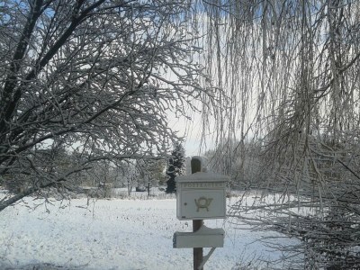 Apartment Appartement/Fewo, Dusche, WC, 1 Schlafraum - Features photo 25