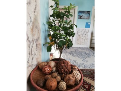 Apartment 6-Bett-Ferienhaus - Outdoor photo 11