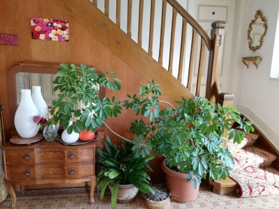 Apartment 6-Bett-Ferienhaus - Features photo 22