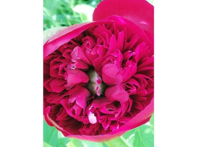 Apartment 6-Bett-Ferienhaus - Features photo 23