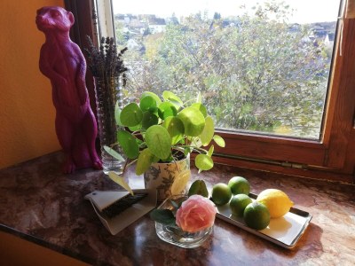 Apartment 6-Bett-Ferienhaus - Features photo 24