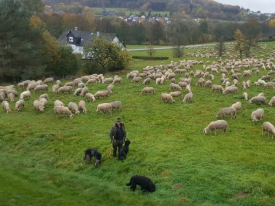 Apartment 6-Bett-Ferienwohnung - Outdoor photo 12