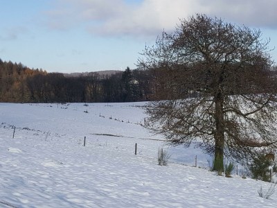 Apartment 6-Bett-Ferienwohnung - Outdoor photo 14