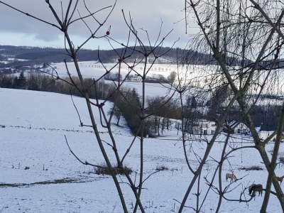 Apartment 6-Bett-Ferienwohnung - Outdoor photo 17