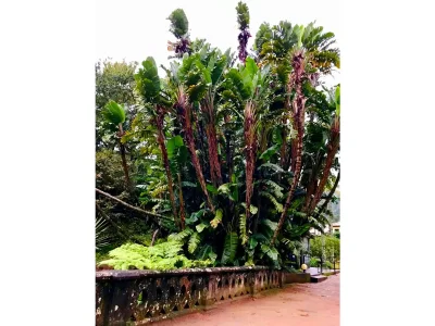 Chalet Casa Piri Piri - Environment photo 25