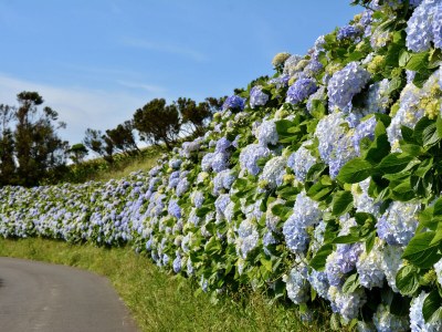 Chalet Casa Piri Piri - Environment photo 28