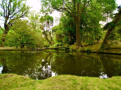 Chalet Casa Piri Piri - Environment photo 30