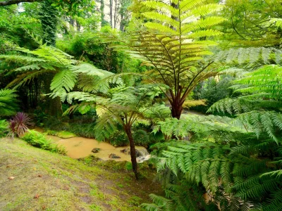 Chalet Casa Piri Piri - Environment photo 33