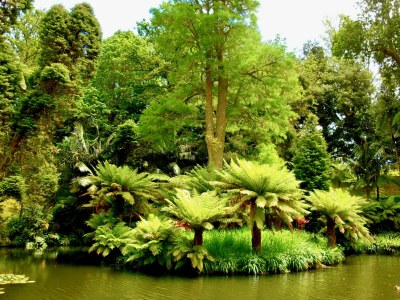 Chalet Casa Piri Piri - Environment photo 34