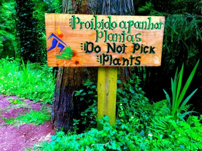 Chalet Casa Piri Piri - Environment photo 35