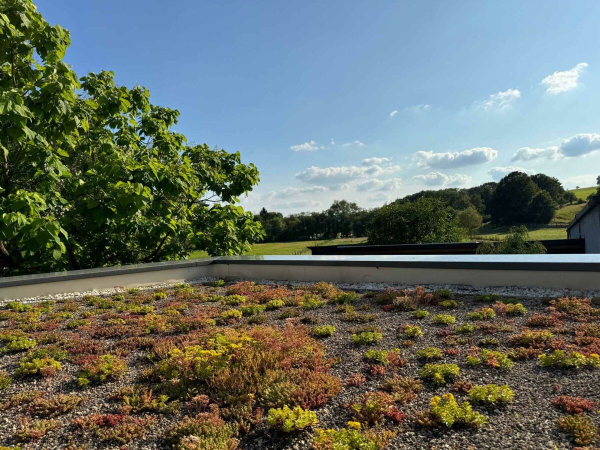 Apartment 2-Bett-Ferienwohnung - Outdoor photo 2