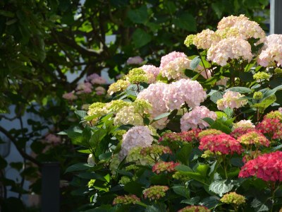 Apartment Ferienhaus, Dusche und Bad, WC, 2 Schlafräume - Outdoor photo 6