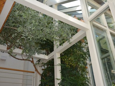 Apartment Ferienhaus, Dusche und Bad, WC, 2 Schlafräume - Outdoor photo 8