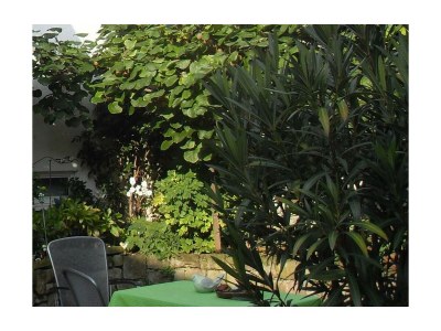 Apartment Ferienwohnung Maria - Outdoor photo 9