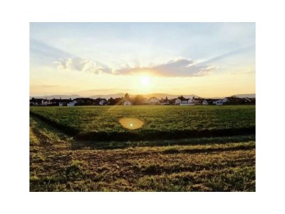 Apartment Ferienwohnung Altes Gehöft - Outdoor photo 15