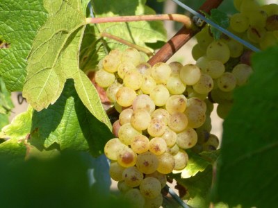 Apartment Appartement/Fewo, Dusche oder Bad, WC, Nichtrauche - Outdoor photo 13