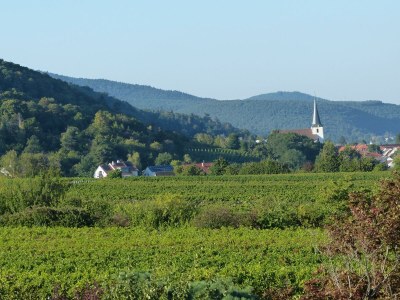 Apartment Appartement/Fewo, Dusche oder Bad, WC, Nichtrauche - Outdoor photo 19