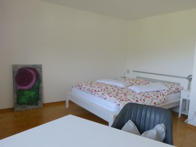 Apartment Appartement/Fewo, Dusche oder Bad, WC, Nichtrauche - Features photo 31