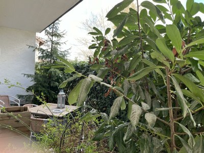 Apartment Appartement/Fewo, Dusche, WC, Terrasse - Features photo 18