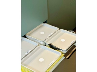 Apartment Ferienwohnung "Gustav Klimt" - Features photo 30