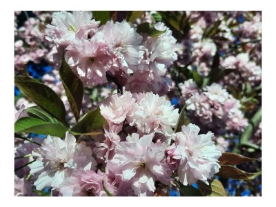 Apartment Ferienwohnung Grasmück - Outdoor photo 11