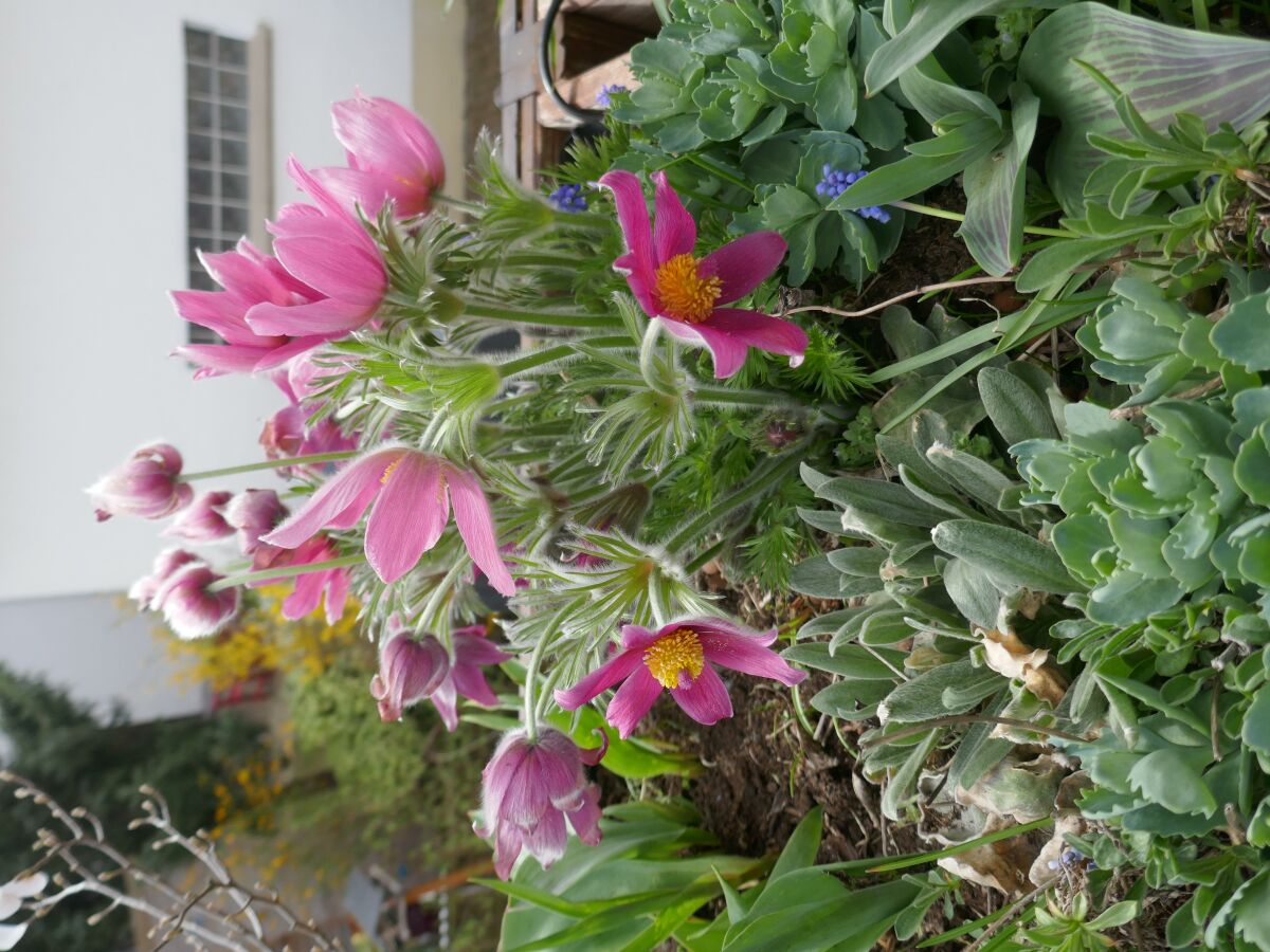 Apartment Terrassenwohnung - Outdoor photo 2