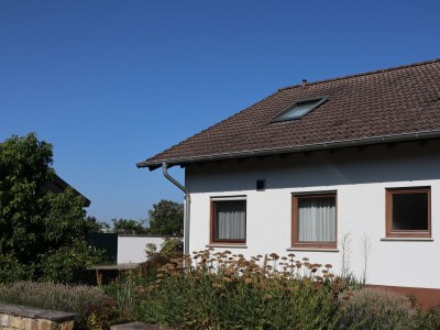 Apartment Ferienwohnung Pfälzer Drachennest - Outdoor photo 8