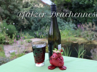 Apartment Ferienwohnung Pfälzer Drachennest - Outdoor photo 11