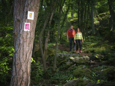 Apartment Campingpod "Schmiede" - Outdoor photo 6
