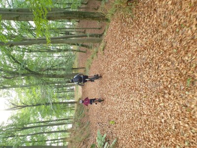 Apartment Tiny-House "Das kleine Schwarze" - Outdoor photo 10