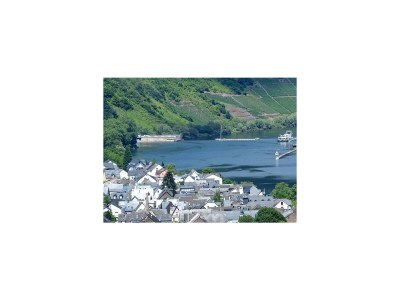 Apartment Moselwinzerhaus - Outdoor photo 9