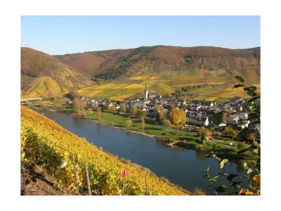 Apartment Moselwinzerhaus - Outdoor photo 12