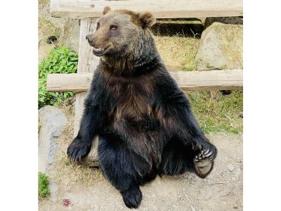 Apartment 4-Bettwohnung barrierefrei - Outdoor photo 31