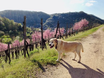 Apartment 4-Bettwohnung barrierefrei - Outdoor photo 34