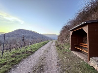 Apartment 4-Bettwohnung barrierefrei - Outdoor photo 35