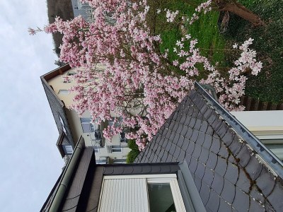 Apartment Fewo 3 Schlafzimmer - Outdoor photo 15