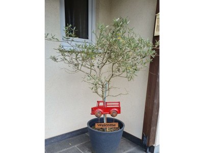 Apartment Fewo 3 Schlafzimmer - Outdoor photo 23