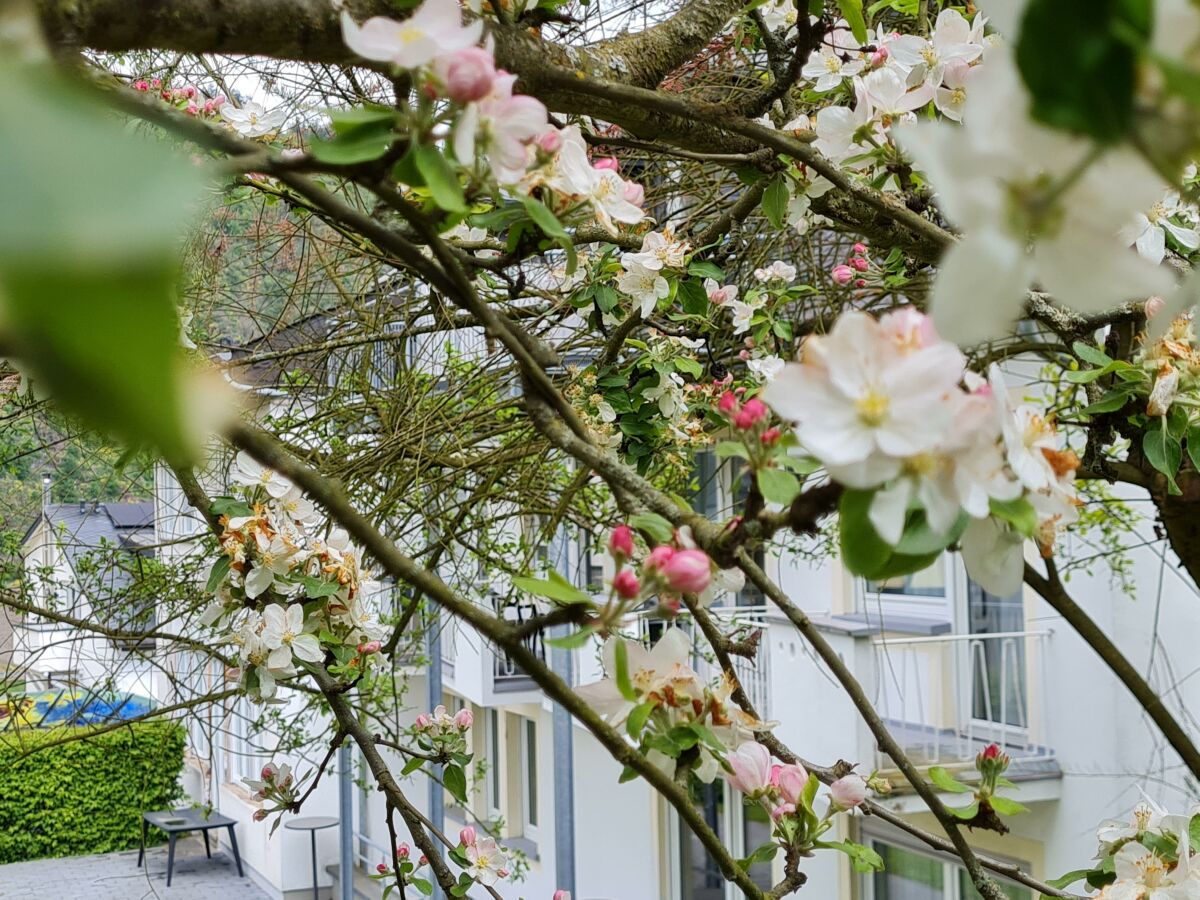 Apartment Apartment mit Terrasse - Outdoor photo 4