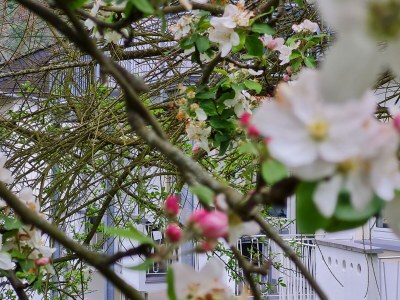 Apartment Apartment mit Terrasse - Outdoor photo 15