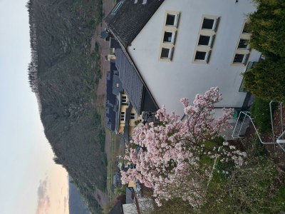 Apartment Apartment mit Terrasse - Outdoor photo 17